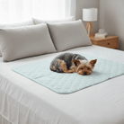 Hondendeken Incontinentie – Hoogabsorberende Wasbare Onderlegger Blauw - Duke & Scoop