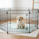 Hondendeken Incontinentie – Hoogabsorberende Wasbare Onderlegger Blauw - Duke & Scoop