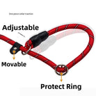 Hondenhalsband - Slipriem 50cm - Duke & Scoop