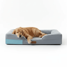 Hondenmand Groot Orthopedisch – Comfortabel Ademend Memory Foam Bed - Duke & Scoop