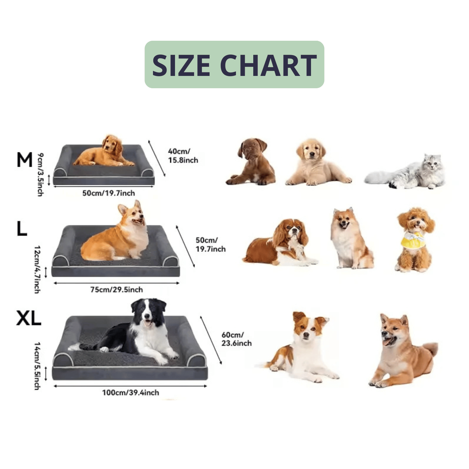 Hondenmand Orthopedisch Kattenmand – Traagschuim Bed voor Diepe Slaap & Comfort - Duke & Scoop