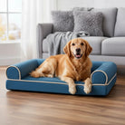 Hondenmand Orthopedisch Kattenmand – Traagschuim Bed voor Diepe Slaap & Comfort - Duke & Scoop