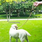 Hondenriem Easy Control - Duke & Scoop