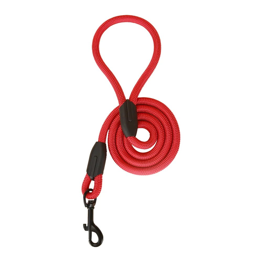 Hondenriem Easy Control - Duke & Scoop