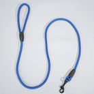 Hondenriem Easy Control - Duke & Scoop