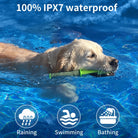 Hondentrainingshalsband zonder Schok – 9 standen - Duke & Scoop