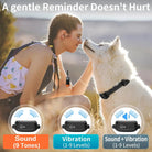 Hondentrainingshalsband zonder Schok – 9 standen - Duke & Scoop