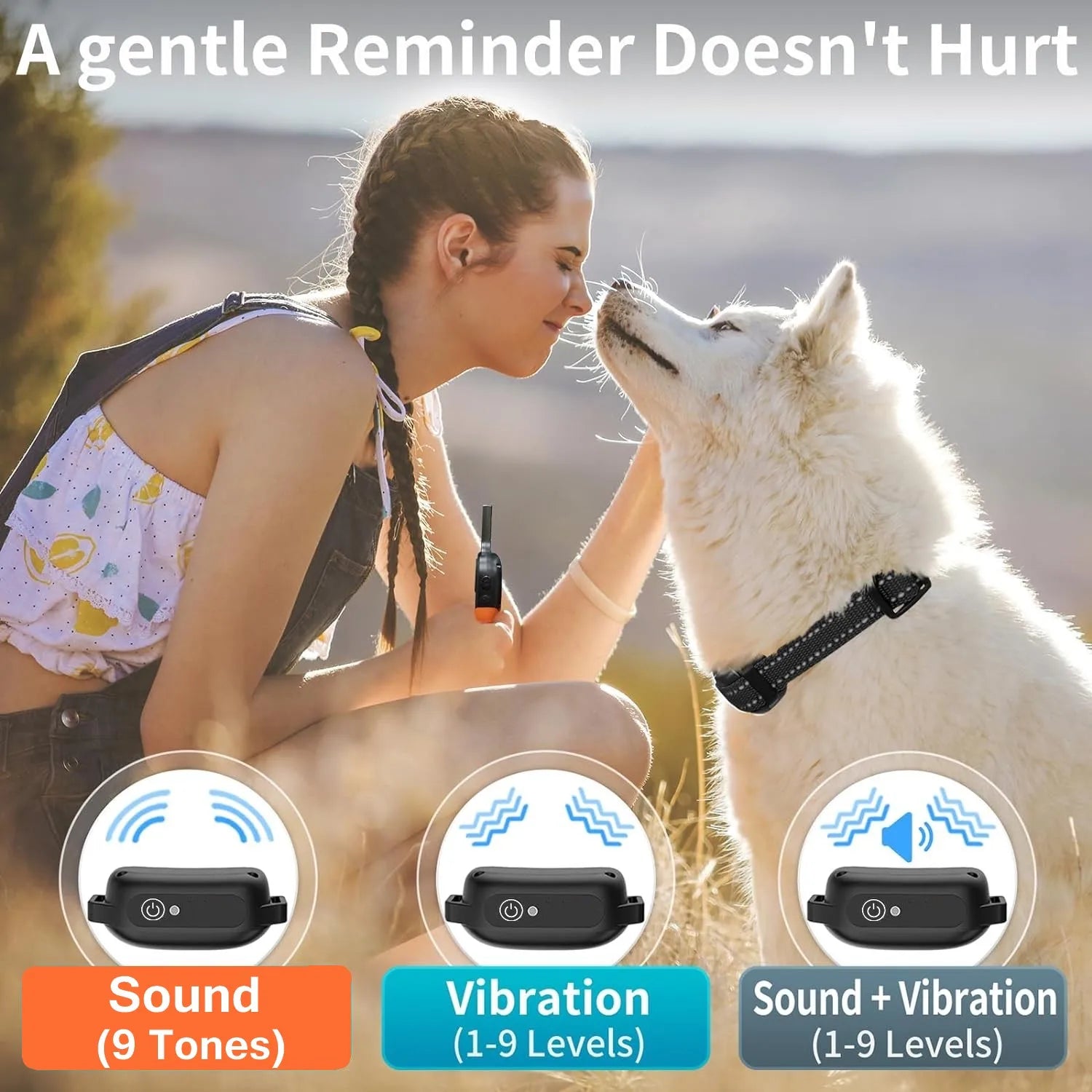 Hondentrainingshalsband zonder Schok – 9 standen - Duke & Scoop