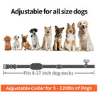 Hondentrainingshalsband zonder Schok – 9 standen - Duke & Scoop