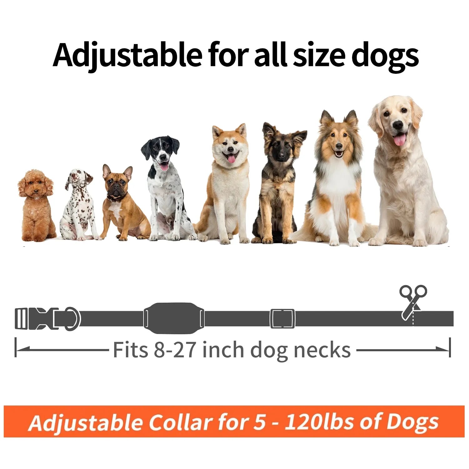 Hondentrainingshalsband zonder Schok – 9 standen - Duke & Scoop