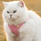 Hondentuig Ademend Hondenharnas – Verstelbaar Tuigje Voor Katten & Honden - Duke & Scoop