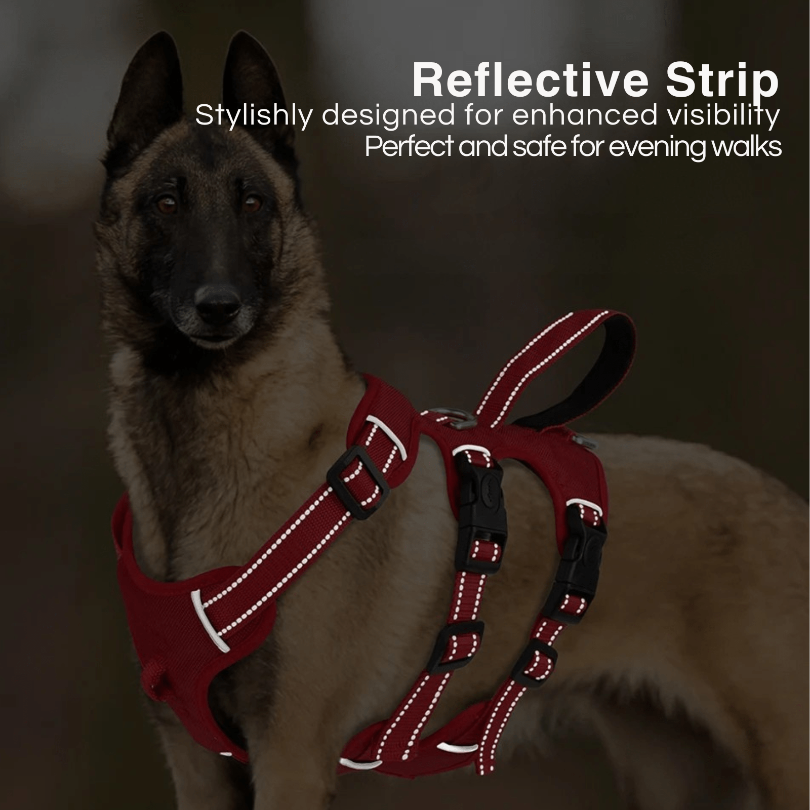 Hondentuig - Extra Stevig - Duke & Scoop