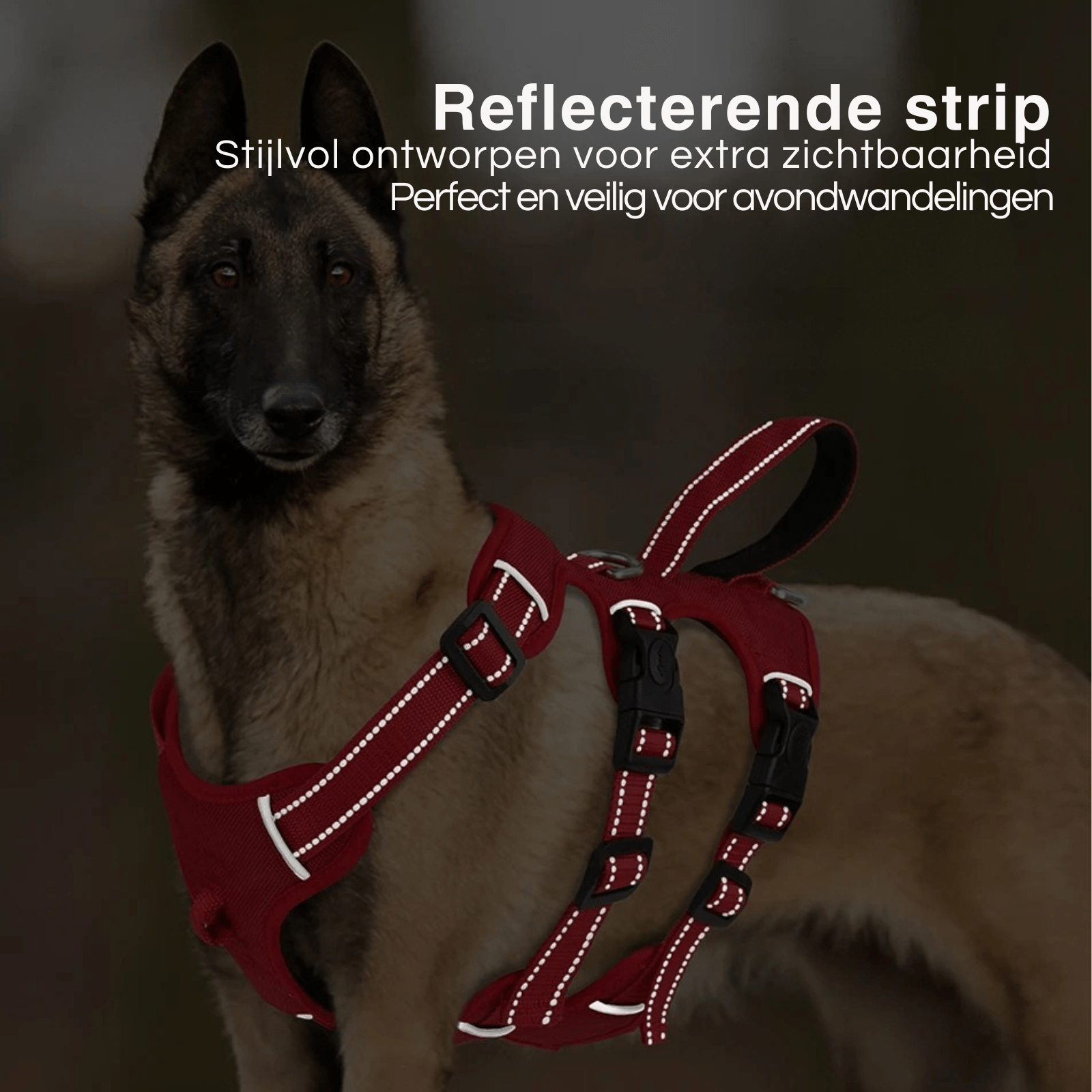 Hondentuig - Extra Stevig - Duke & Scoop