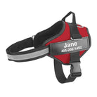 Hondentuig Gepersonaliseerd Reflecterend – Verstelbaar Nylon Hondenharnas - Duke & Scoop