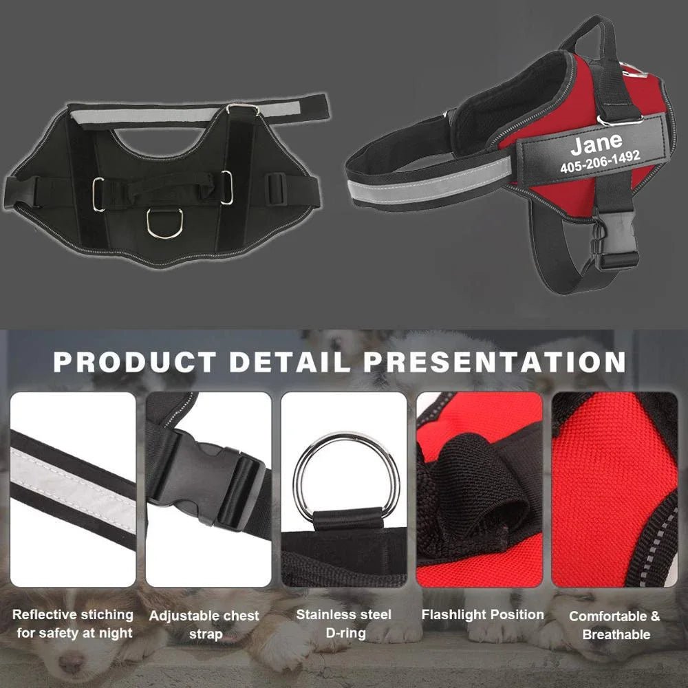 Hondentuig Gepersonaliseerd Reflecterend – Verstelbaar Nylon Hondenharnas - Duke & Scoop