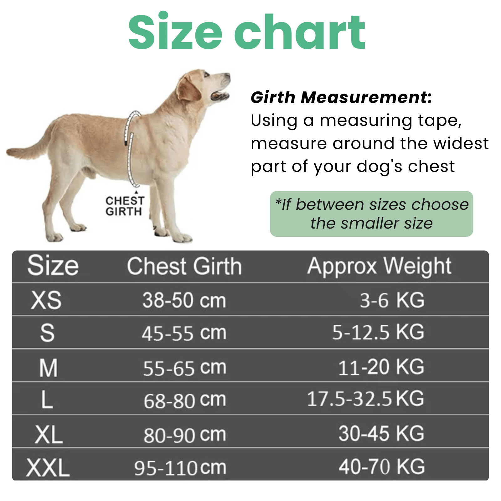 Hondentuig Gepersonaliseerd Reflecterend – Verstelbaar Nylon Hondenharnas - Duke & Scoop