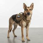 Hondentuig K9 Hondenharnas – Comfortabel, Verstelbaar & Stevig Tuigje - Duke & Scoop