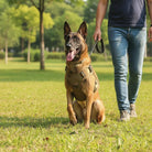 Hondentuig K9 Hondenharnas – Comfortabel, Verstelbaar & Stevig Tuigje - Duke & Scoop