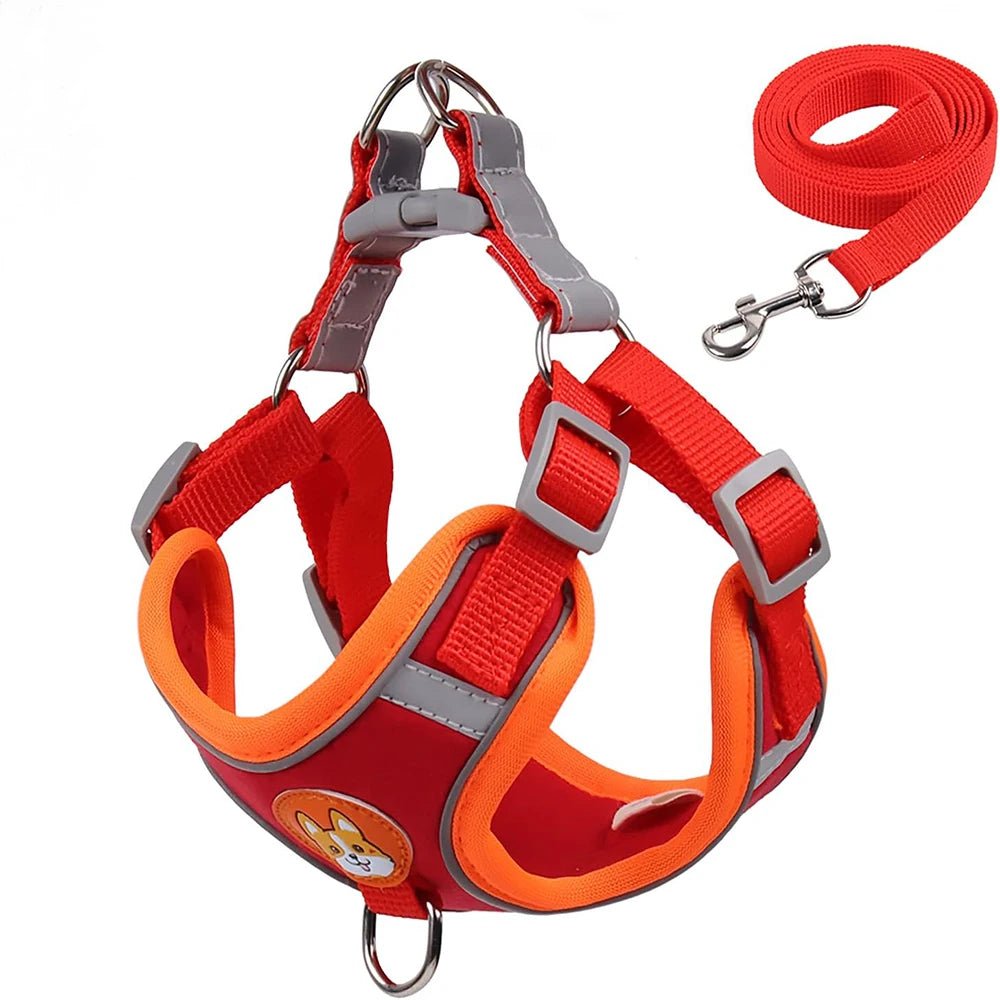 Hondentuig Reflecterend – Comfortabel Nylon Harnas voor Wandelen - Duke & Scoop