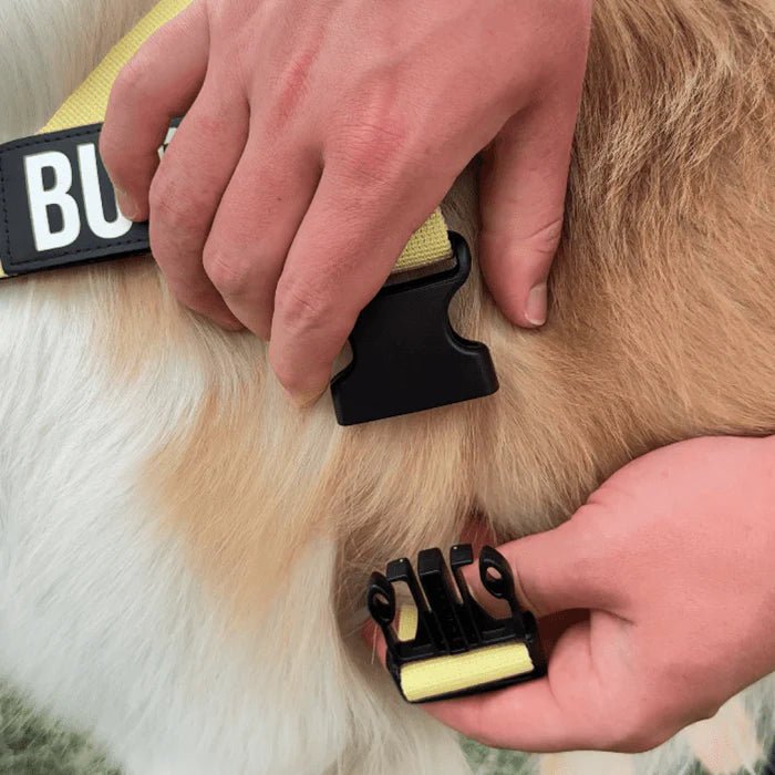 Hondentuig Reflecterend Verstelbaar – Gepersonaliseerd Harnas voor Wandelen - Duke & Scoop