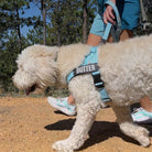 Hondentuig Reflecterend Verstelbaar – Gepersonaliseerd Harnas voor Wandelen - Duke & Scoop