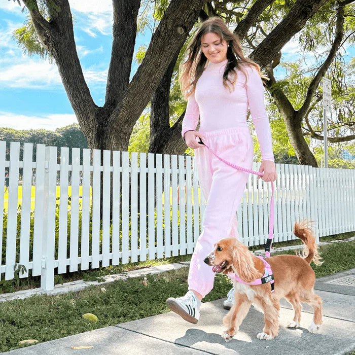 Hondentuig Reflecterend Verstelbaar – Gepersonaliseerd Harnas voor Wandelen - Duke & Scoop