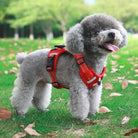 Hondentuig Reflecterend – Verstelbaar Nylon Harnas voor Wandelen - Duke & Scoop