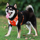 Hondentuig Reflecterend – Verstelbaar Nylon Harnas voor Wandelen - Duke & Scoop