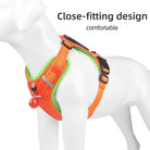 Hondentuig Reflecterend – Verstelbaar Nylon Harnas voor Wandelen - Duke & Scoop