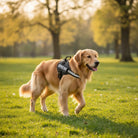 Hondentuig Reflecterend Verstelbaar – Sterk Polyester voor Wandelen - Duke & Scoop