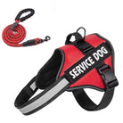 Hondentuig Reflecterend Verstelbaar – Sterk Polyester voor Wandelen - Duke & Scoop