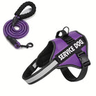 Hondentuig Reflecterend Verstelbaar – Sterk Polyester voor Wandelen - Duke & Scoop