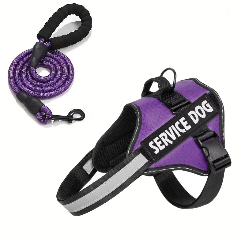 Hondentuig Reflecterend Verstelbaar – Sterk Polyester voor Wandelen - Duke & Scoop