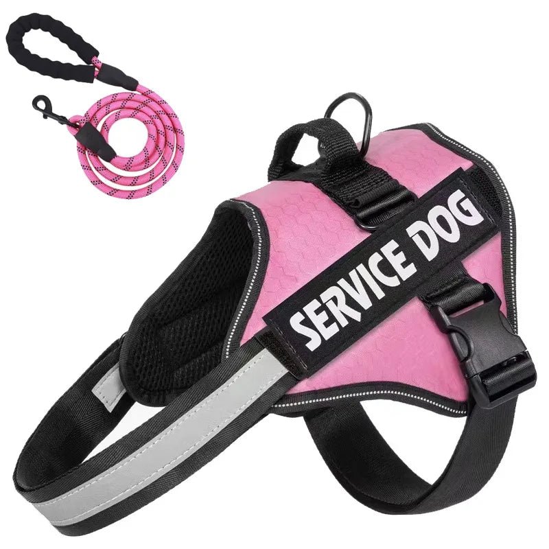 Hondentuig Reflecterend Verstelbaar – Sterk Polyester voor Wandelen - Duke & Scoop