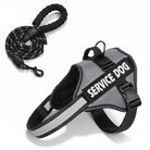 Hondentuig Reflecterend Verstelbaar – Sterk Polyester voor Wandelen - Duke & Scoop