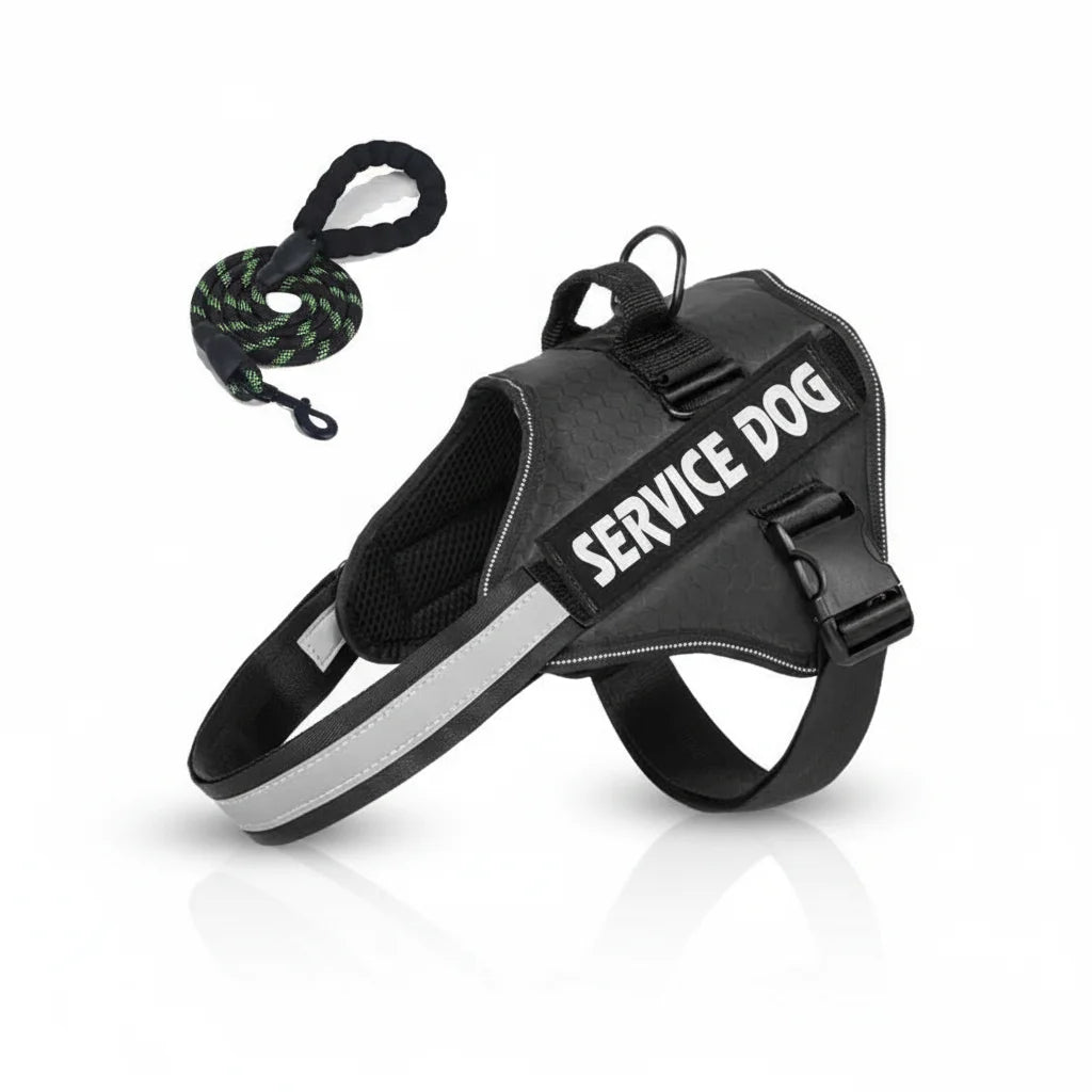 Hondentuig Reflecterend Verstelbaar – Sterk Polyester voor Wandelen - Duke & Scoop