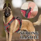 Hondentuig - Reflectie en Handvat - Duke & Scoop