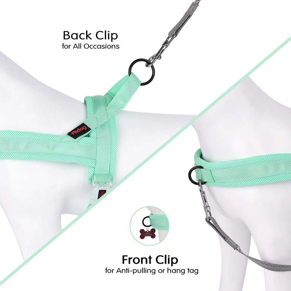 Hondentuig Verstelbaar – Nylon Gewatteerd Comfort - Tuigje voor Wandelen Honden - Duke & Scoop