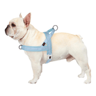 Hondentuig Verstelbaar – Nylon Gewatteerd Comfort - Tuigje voor Wandelen Honden - Duke & Scoop