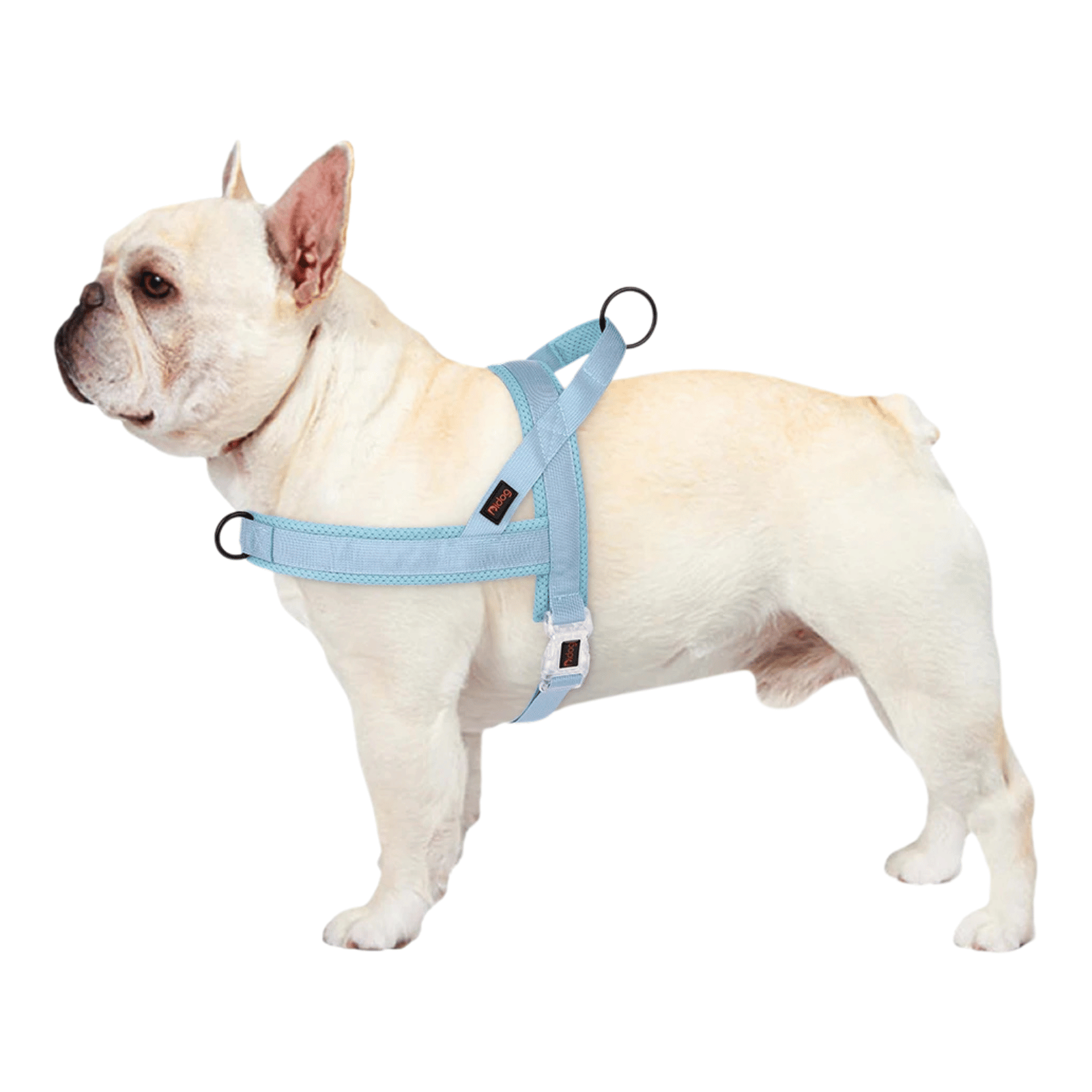 Hondentuig Verstelbaar – Nylon Gewatteerd Comfort - Tuigje voor Wandelen Honden - Duke & Scoop