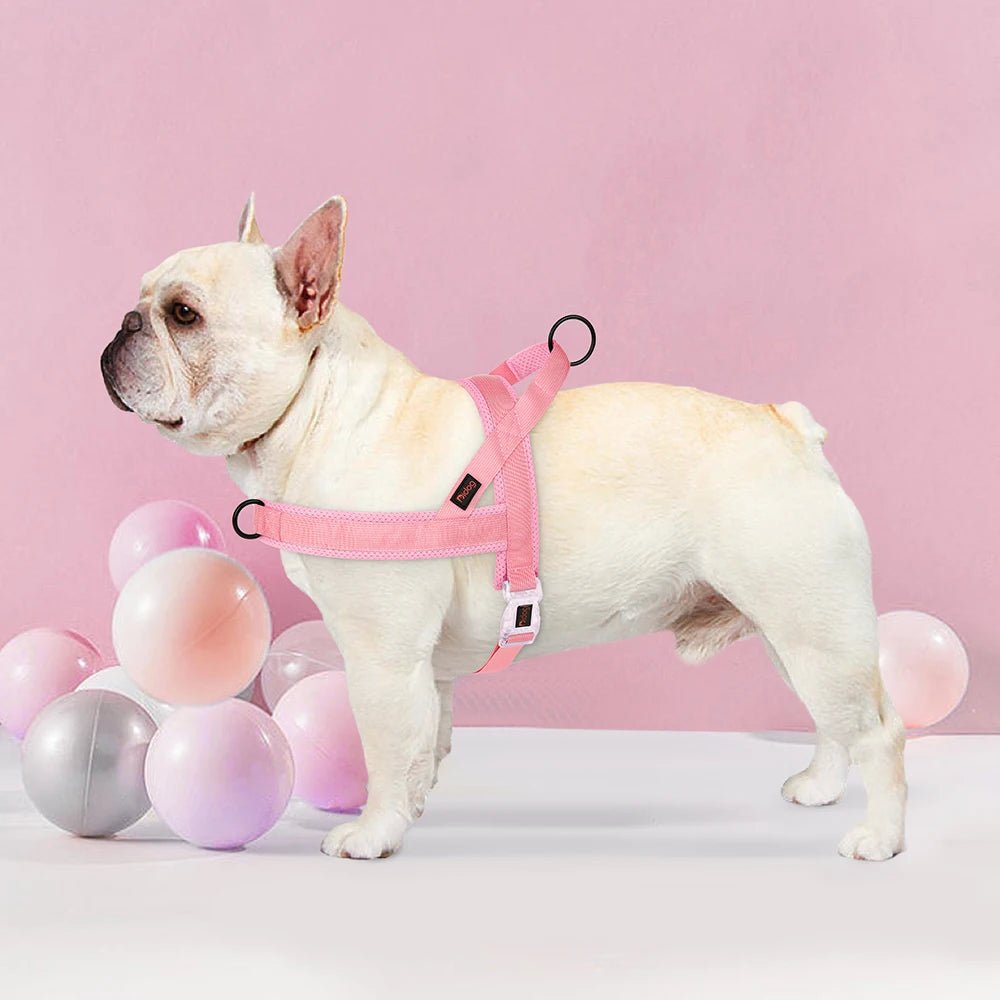 Hondentuig Verstelbaar – Nylon Gewatteerd Comfort - Tuigje voor Wandelen Honden - Duke & Scoop