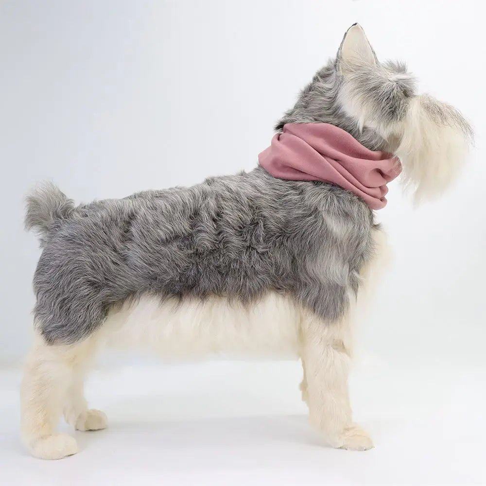 Huisdieren Muts met Oorbescherming - Duke & Scoop