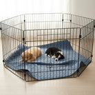 Incontinentie Hondendeken – Waterdicht Plasmat Katoen Voor Bank En Bed - Duke & Scoop