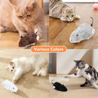 Interactief Muizenspeeltje - Duke & Scoop