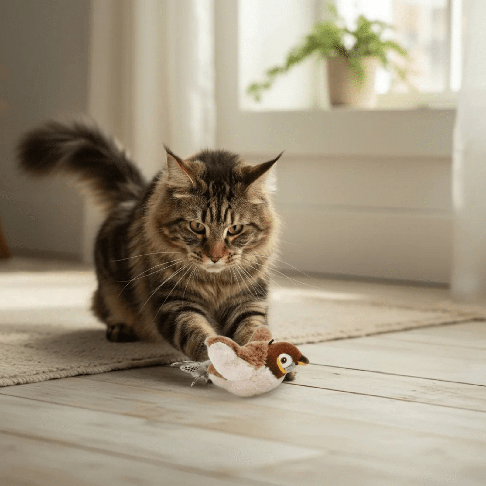 Interactief Speelgoed Kat – Knuffel Kat Vogel Speelgoed Met Geluid en Beweging - Duke & Scoop