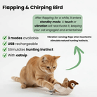 Interactief Speelgoed Kat – Knuffel Kat Vogel Speelgoed Met Geluid en Beweging - Duke & Scoop