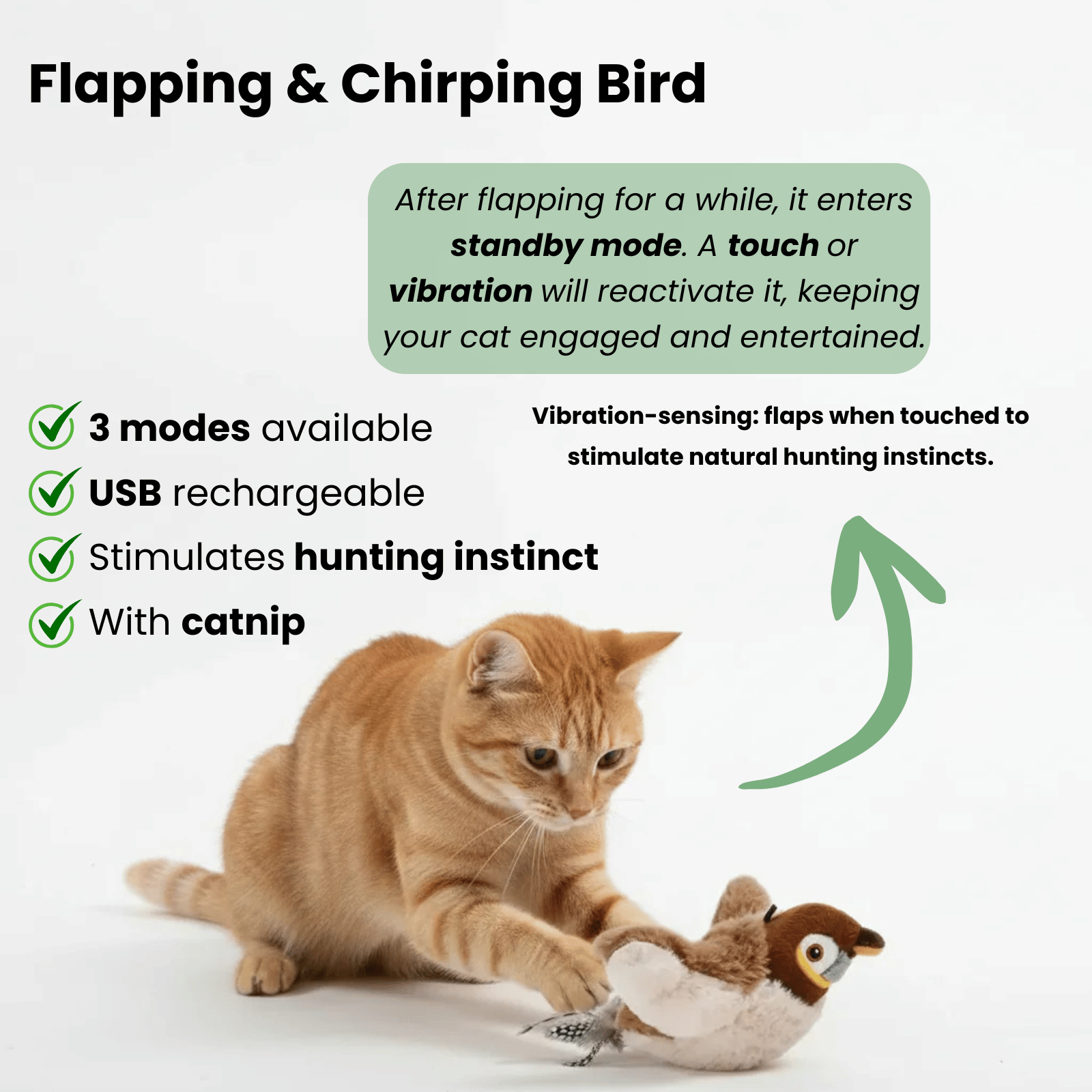 Interactief Speelgoed Kat – Knuffel Kat Vogel Speelgoed Met Geluid en Beweging - Duke & Scoop