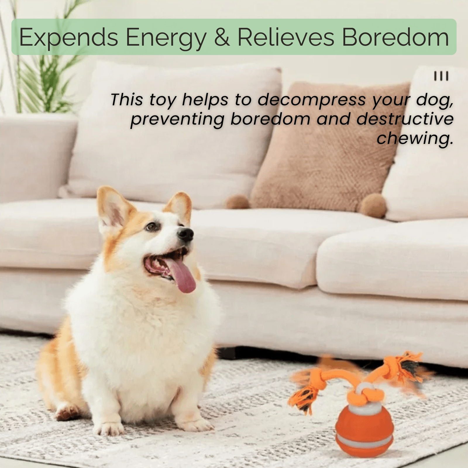 Interactieve Automatische Speelbal voor Honden - Duke & Scoop