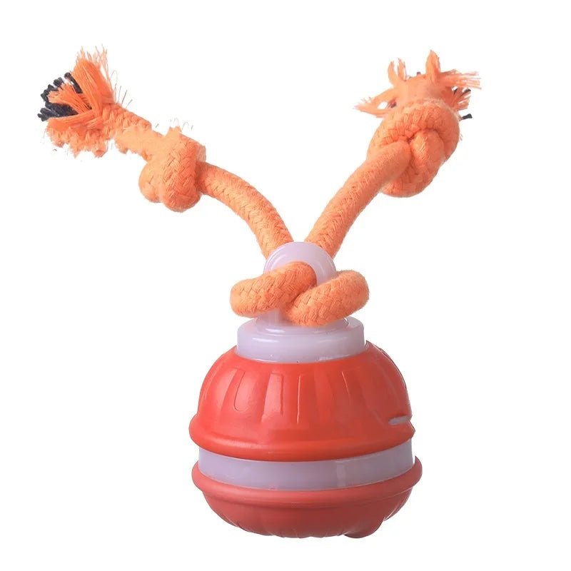 Interactieve Automatische Speelbal voor Honden - Duke & Scoop