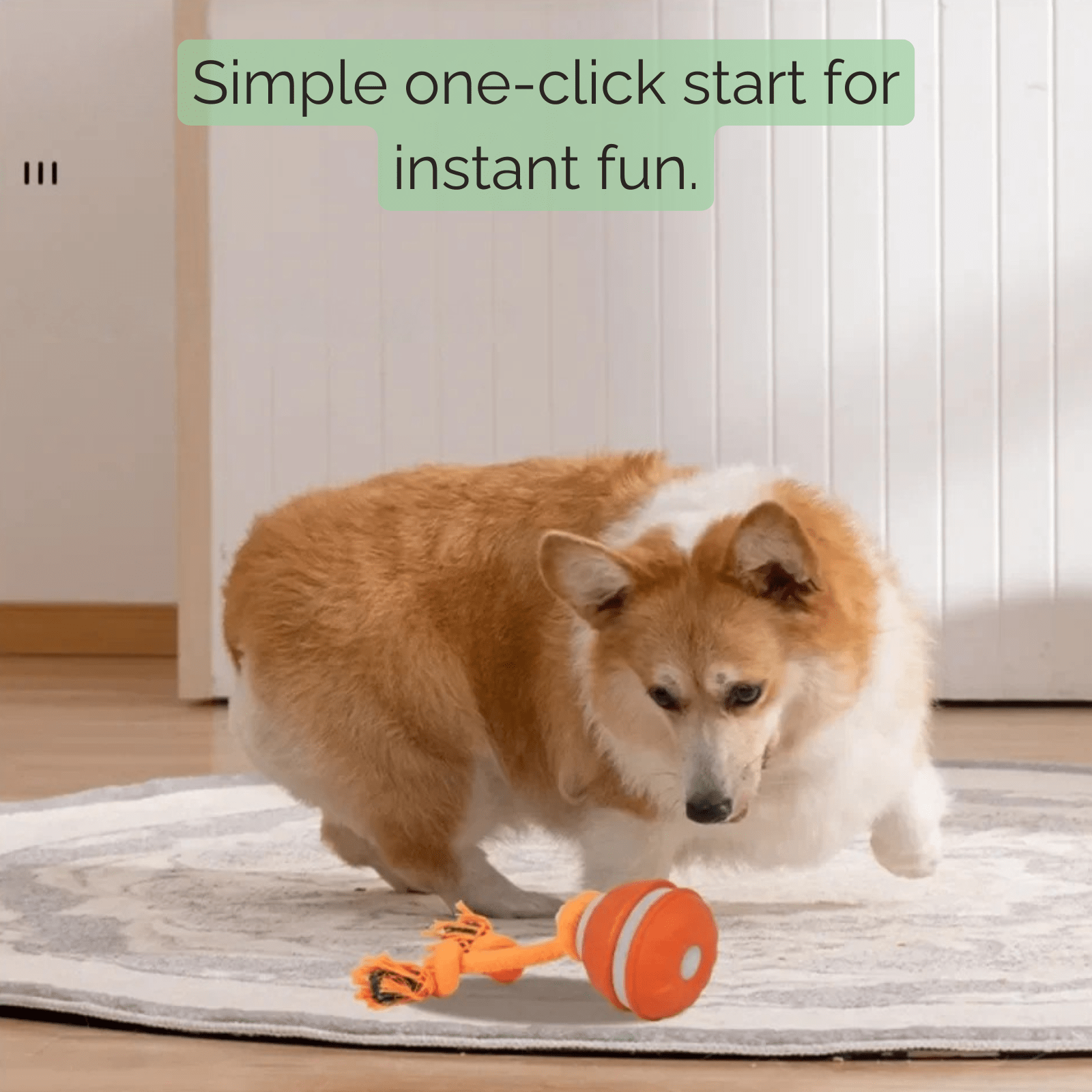 Interactieve Automatische Speelbal voor Honden - Duke & Scoop